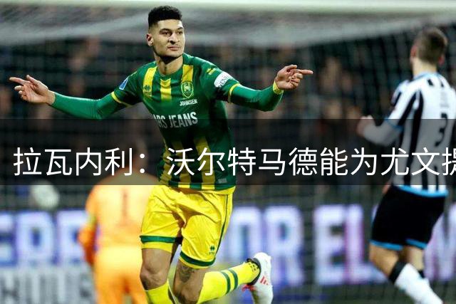 拉瓦内利：沃尔特马德能为尤文提供助力 转会窗尤文已尽最大努力