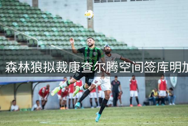森林狼拟裁康查尔腾空间签库明加