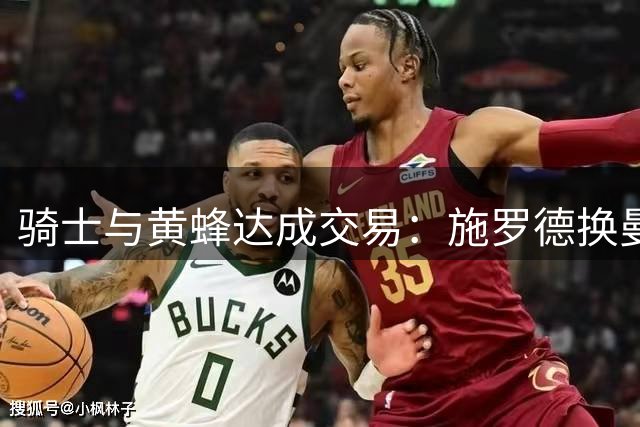 骑士与黄蜂达成交易：施罗德换曼恩