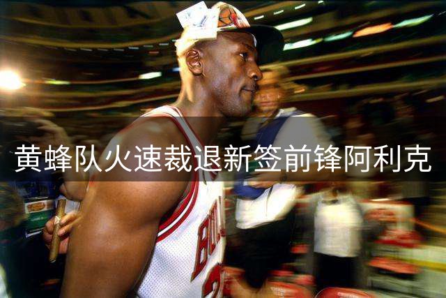 黄蜂队火速裁退新签前锋阿利克
